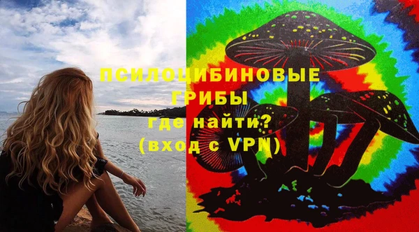 бошки Абинск