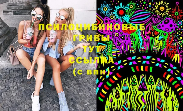 бошки Абинск